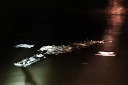 Užfiksavo srovės nešamą kryžiaus formos objektą