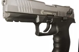 Šalikelėje rastą ginklą atidavė pareigūnams