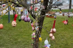 Senamiesčio skverą gausiausiai papuošė Senamiestyje besimokantys