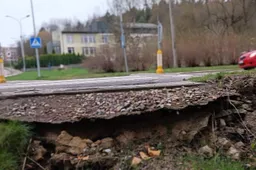 Alytaus aplinkosaugininkams vadovaus iš Kauno