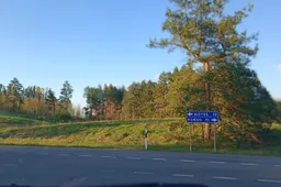 Dėgė pusšimtis miškų, daug kur pasiektas priešpaskutinis gaisringumo pavojaus lygis