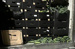 Vietoje 15 tonų rusiškų agurkų vilkike – daugiau nei kelių milijonų eurų vertės „staigmena“, kratos Alytuje ir rajone