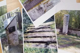 Totalitarinių režimų ženklų „valymo“ diskusija Alytuje prasidėjo klausimu dėl vokiečių sušaudytų lietuvių paminklo likimo