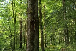 Lengviau ras ypatingas Nemuno kilpos vietas