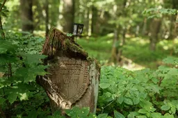 Punios šilo rezervate bus įrengta lankytojų trasa