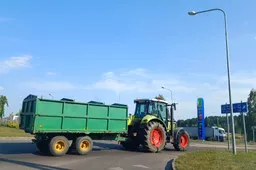 Grūdų aruodai Alytuje pilnėja, o kviečiai šiemet – kitokie, mažiau glitimo ir baltymų