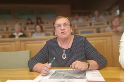 Seniūnaitė: „Ar Alytaus architektūros perlais ruošiamės kiaules šerti?“