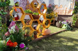 Varėnoje – tradicinė Grybų šventė