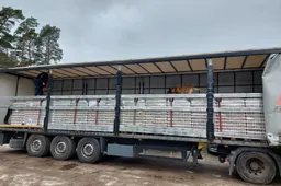 Į Alytaus kriminalistų rankas pakliuvo ispaniškos alyvuogės su kanapių prieskoniu