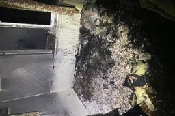 Pareigūnai spėjo išgelbėti moterį