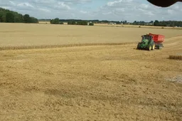 Pasėlių deklaravimas pratęstas, bet yra išimčių