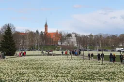 Narcizų savaitgalis Druskininkuose sutraukė minias atvykėlių