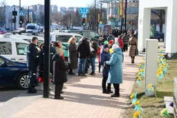 Alytaus centre pražydo laisvės saulėgrąžos