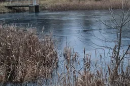 Ant tvenkinio ledo – miręs žvejys