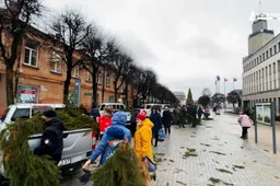 Alytiškiai išgraibstė miškininkų dovanotas šakas