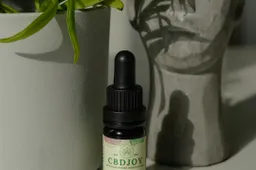 Ar CBD aliejus yra saugus?