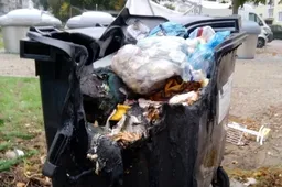 Padėkite, dega konteineriai... Tai nepilkite į juos karštų pelenų!