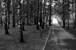 Alytaus Jaunimo parke jaunuolis smurtavo prieš nepilnametį