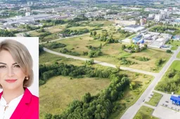 Japonijos įmonė planuoja statyti gamyklą Alytuje