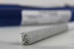 Dėl marihuanos platinimo įkliuvo didelė grupė Alytaus moksleivių, siūlomas ir 10 metų kalėjimas