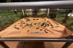 Į Alytų atkeliauja pasaulyje didžiausia jotvingių kolekcija