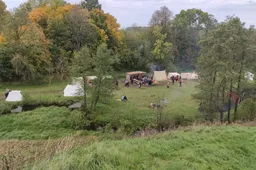 Prie Kaukų ir Obelytės piliakalnių – atkuriamosios istorijos festivalis