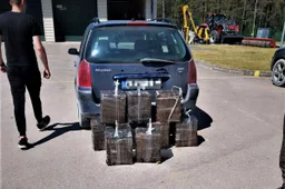 Druskininkietį baus ir pasieniečiai, ir policija