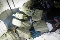 Pareigūnai pranešė, į kur juos atvedė sniege rasti žmogaus pėdsakai