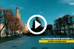 Rotušės aikštėje – natūrali eglė