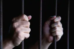 Prieš Kalėdas mažametę išžaginęs Prienų rajono gyventojas sulaukė griežtos bausmės