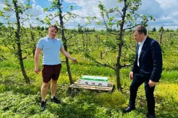 Luksnėnų soduose zvimbs darbštesnės kamanės