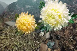 Kapų tvarkymas kapinėse nesibaigia: sutvarkę išrūšiuokite atliekas