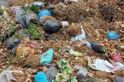 Kapų tvarkymas ir šiukšlinimas – visada šalia. Ką daryti?