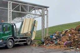 Pavasarinis kapų tvarkymas: tvarus, be plastiko ir dirbtinių gėlių