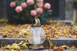 Kapus tvarkykime ekologiškiau ir ekonomiškiau