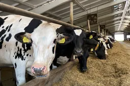 Rajono ūkiai sulauks savivaldybės paramos