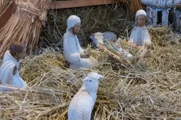 Kalėdų laikas Alytaus bažnyčiose