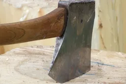 Alytaus rajone policininkus ir medikus užpuolė kirviu ginkluotas vyras