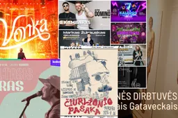 Alytaus renginių gidas: nuo senjorų naktišokių iki „Subinės“ šėlsmo