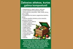 Sodo ir daržo atliekos – į komposto dėžę