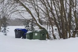 Atliekų išvežimo grafikai derinami su kelių valymo darbais