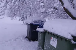 ARATC: atliekos tvarkomos ir per pūgą, bet prašome kantrybės ir supratimo