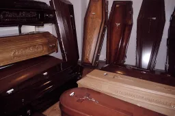 NVSC: naujas protrūkis – medienos dirbinių gamybos įmonėje Alytaus rajone