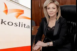 Alytaus įmonė atsako: kaltinimų pažėrę konkurentai patys sulaukė protesto dėl intelektinės nuosavybės Europoje