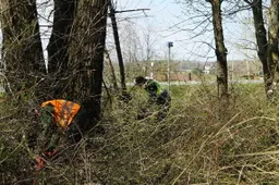Vietoj menkaverčių krūmų rajone – medžiai ir gėlės