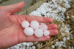 Priimamos paraiškos dėl palūkanų kompensavimo nuo audros nukentėjusiems ūkininkams