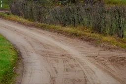 Policija vėl turi veiklos Kukiškėse: kvaišalai festivalininkų automobiliuose