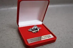 Laukiami siūlymai dėl Alytaus miesto kultūros premijų