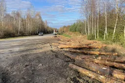 Netoli Alytaus – miškavežio avarija