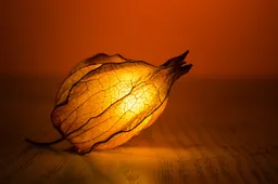 Lauko šviestuvų ekonomija: kaip pasirinkti energiją taupančius sprendimus?